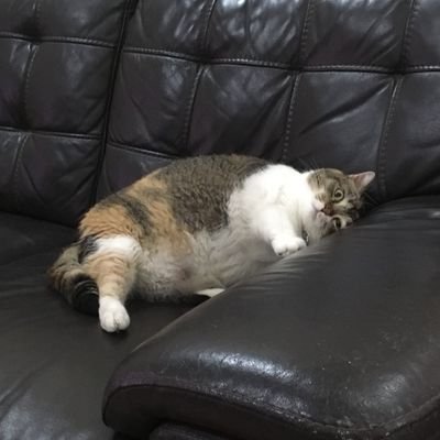 AzandMe's profile picture. Be someone that you are good at