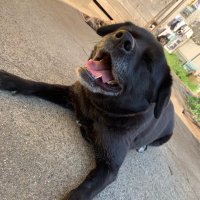 久翔 (@y_s416) Twitter profile photo