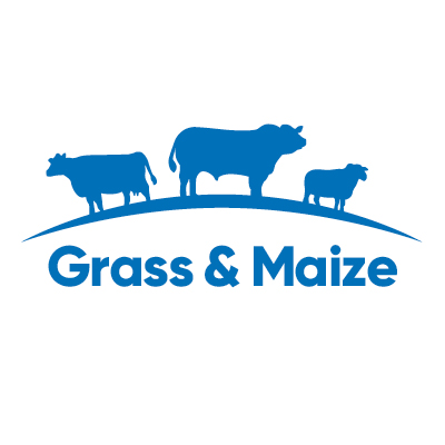 Our solutions help farmers grow the best quality home-grown feed for their animals. We provide market leading maize varieties, herbicides and silage inoculants.