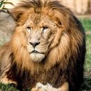 esmeralda - @DoraOlvera6 - Twitter