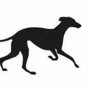 Galgos de la Mancha es una asociación sin ánimo de lucro que tiene como objetivo el rescate, rehabilitación y adopción de animales abandonados. CIF13577515