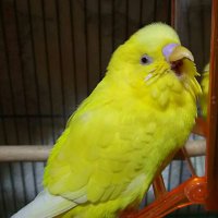 静子🥀 (@zeusnomama) 's Twitter Profile