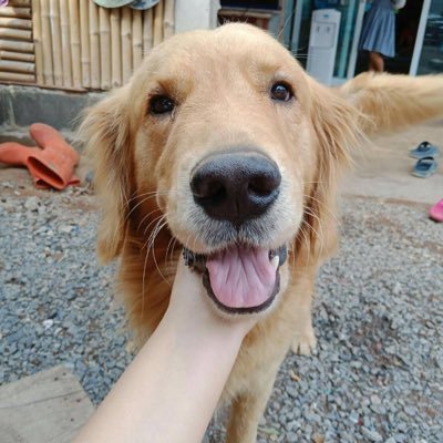 HipotTest's profile picture. 