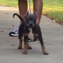 dave castle - @rivercitywatch - Twitter