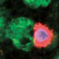 Schwab Lab (@schwab_lab) 's Twitter Profile Photo Schwab Lab (@schwab_lab) 's Twitter Profile Photo