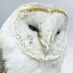Private Detectives Corporation (@pdcgroup) Twitter profile photo Private Detectives Corporation (@pdcgroup) Twitter profile photo