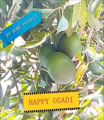 suraj_nancy's profile picture. Catalystic thinker