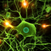 SHS Biology (@shs_biology) Twitter profile photo SHS Biology (@shs_biology) Twitter profile photo