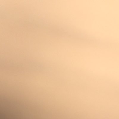 bengtofficial's profile picture. Flipping sǝlqɐʇ on a regular basis