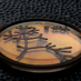 Stelkens Lab (@stelkenslab) Twitter profile photo Stelkens Lab (@stelkenslab) Twitter profile photo