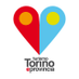 Turismo Torino (@turismotorino) Twitter profile photo