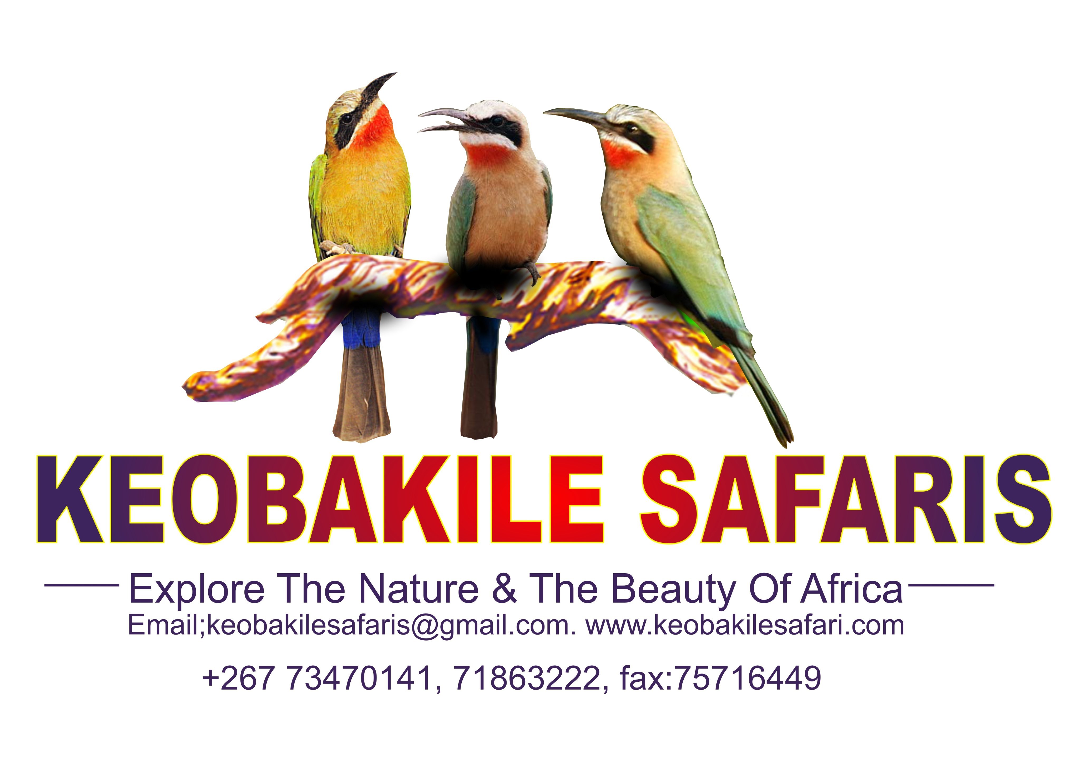 keobakilesafar1's profile picture. mobile safaris which offer day trips,boat cruise,mokoro excursion,dessert safaris,bushman and talks,,birdwatching