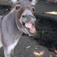 Jamwanda (@jamwanda2) 's Twitter Profile