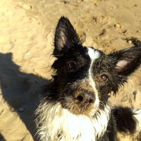 MrsP (@mrsp1001) 's Twitter Profile