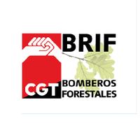 CGT BRIF(@BrifCgt) 's Twitter Profileg