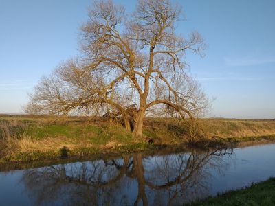 SusieDA93820407's profile picture. 