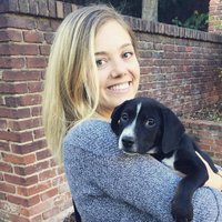 Emily Hogan (@emhogan10) 's Twitter Profile