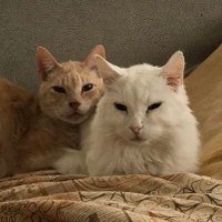 kernel23📚 (@kernel232) Twitter profile photo