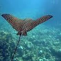 John Rheineck (@rheineckj) 's Twitter Profile