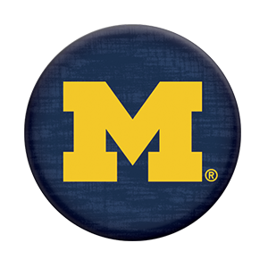 Vote to help claim the king (or queen) of Michigan Twitter. New rounds each day!