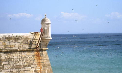 LaCostaAzul's profile picture. 