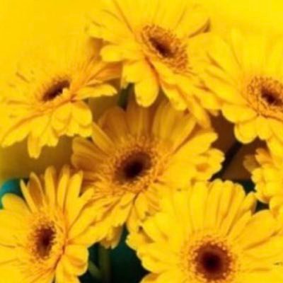 تغريدات صفراء + كل ما يخص اللون الاصفر 💛🌻