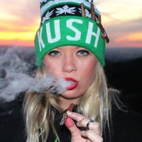 cannabis411(@cannabis4111) 's Twitter Profile Photo