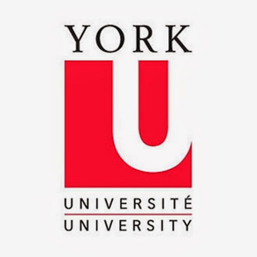 FESI_YorkU Profile Picture