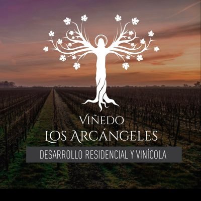 Viñedo los Arcangeles