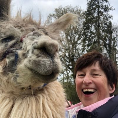 angelabinkee2's profile picture. Passionate about Public Health Nursing for Children,Young People and Families.