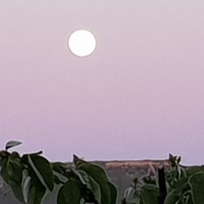 ademasciudadan2's profile picture. Change your mind!