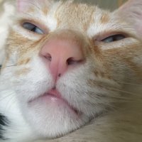 baby norman (@babienorman) 's Twitter Profile Photo baby norman (@babienorman) 's Twitter Profile Photo