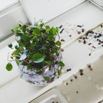 daxing10's profile picture. 상식이 여론이 되는 사회이기를
직접 로스팅한 커피를 마시는
유쾌한 타임라인을 바라는 어른.