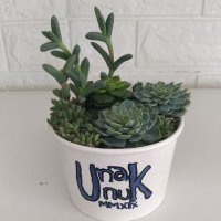 unakunuk (@unakunuk_id) 's Twitter Profile