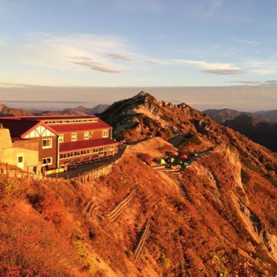 MikeKilo0306's profile picture. 