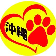 沖縄県の迷い犬、迷い猫情報と基地内からの迷い犬猫情報です。拡散にご協力頂ける方、リツイート、フォローよろしくお願いします。フェイスブックやホームページにもシェアしてます。