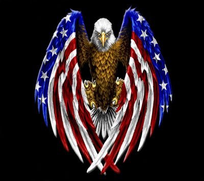 Educating the masses, Constitution, Bill of Rights #MAGA #WalkAway #Blexit God Bless The USA And #Trump2020