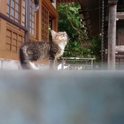 beeeeee_mly14's profile picture. 20↑社会人/雑食/💜🌼