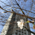 大阪大学応用化学 (@handaiouka) Twitter profile photo 大阪大学応用化学 (@handaiouka) Twitter profile photo