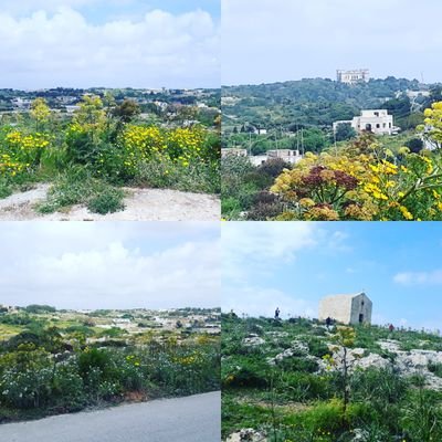 Eman53357102's profile picture. 