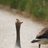 randall_uk's profile image