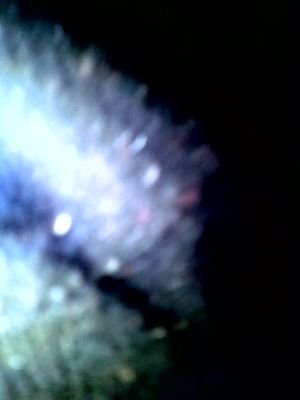 EdwardMubangaP1's profile picture. my smile