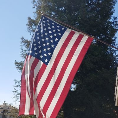 Member of the Daughter's of the American Revolution! Former Democrat #WalkAway followed by General Flynn, Catturd & Wyatt!