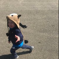 Andrew Henderson (@hendonet) 's Twitter Profile