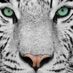 Испанский стыд (@natalyavv62) Twitter profile photo Испанский стыд (@natalyavv62) Twitter profile photo