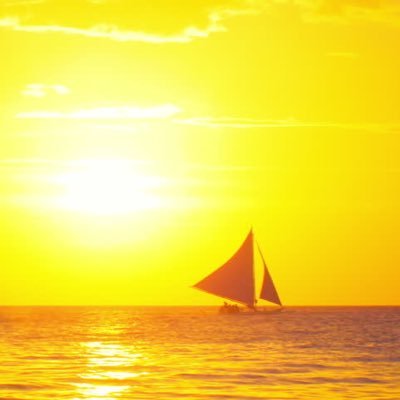 DiscoRab's profile picture. A simple man, with complicated thoughts