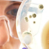 GCU Bio (@gcu_bio) 's Twitter Profile
