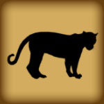 TheDailyLeopard's profile picture. Daily Facts from our Amazing Animal Kingdom