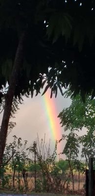 Youbitc97129129's profile picture. Hay 🍆