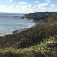 Lyme Regis and Charmouth Tide Times (@lymeandchartide) 's Twitter Profile Photo Lyme Regis and Charmouth Tide Times (@lymeandchartide) 's Twitter Profile Photo